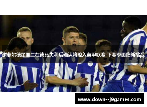 谢菲尔德星期三在德比失利后确认将降入英甲联赛 下赛季面临新挑战